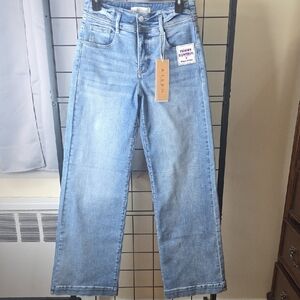 Risen Los Angeles - Zizen Women's Classic Straight Leg Jeans in Light Blue